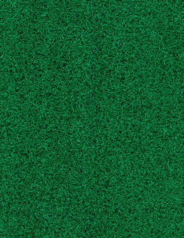 Ultrafine Grass - 8316 Fairway Green
